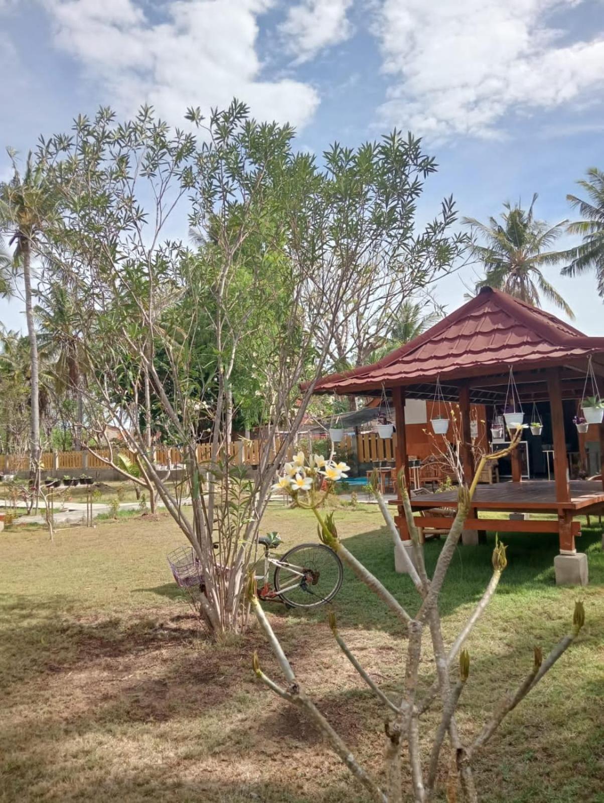 Blue Moon Meno Hotel Gili Meno Ngoại thất bức ảnh